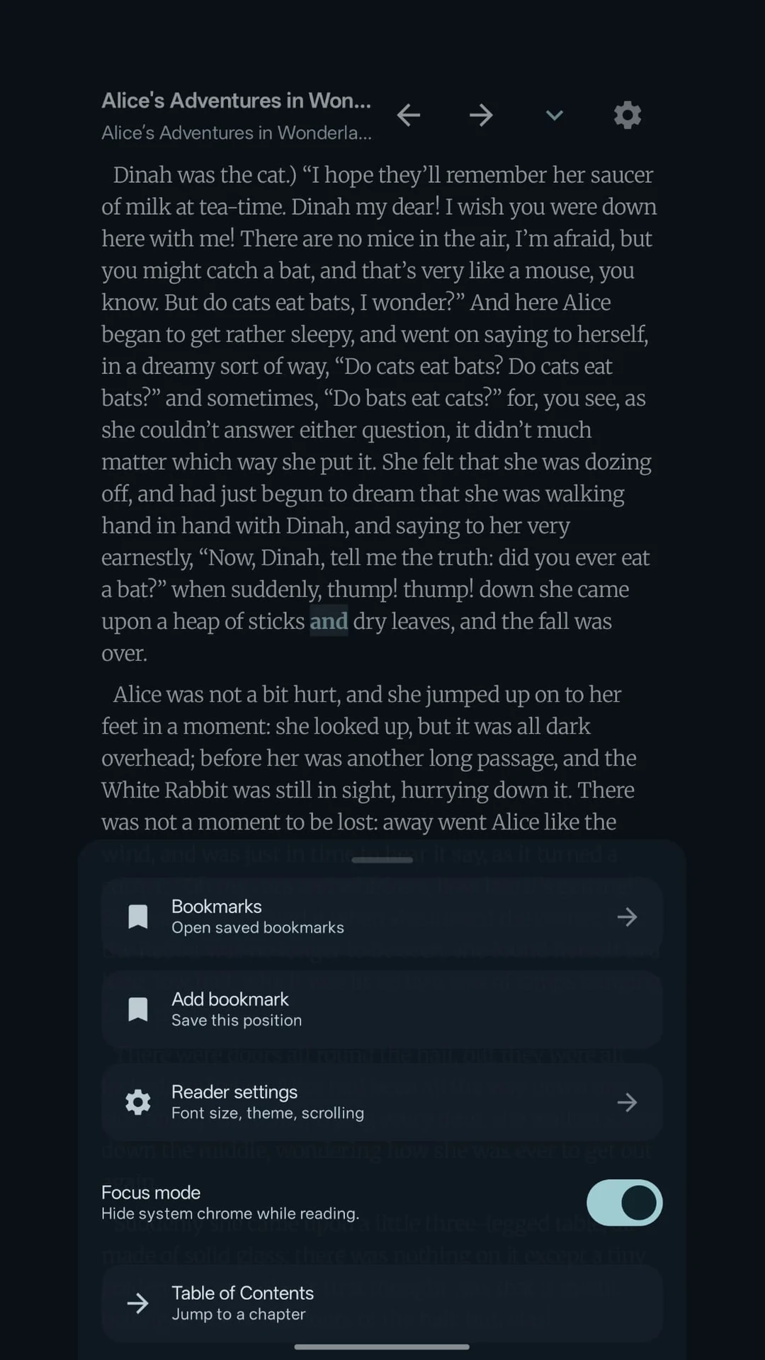 Kairo reader with chapter text and reading controls